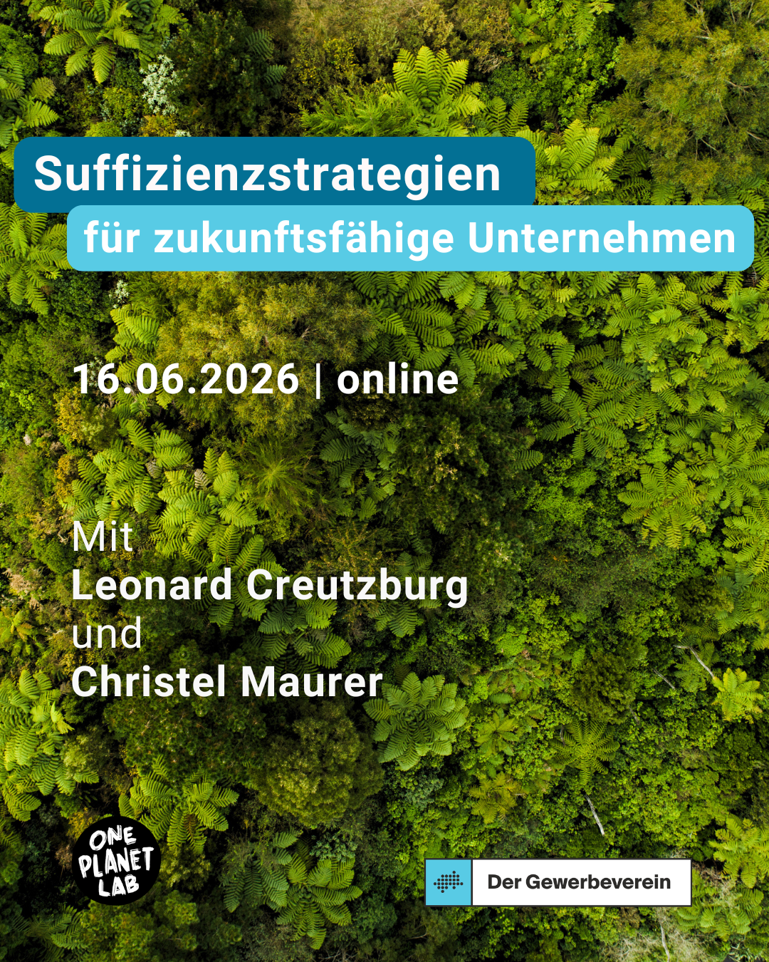 Visual: Webinar Suffizienstrategien